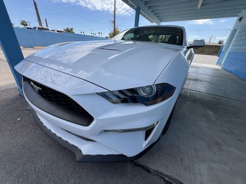 Used 2019 Ford Mustang Coupe RWD image 7
