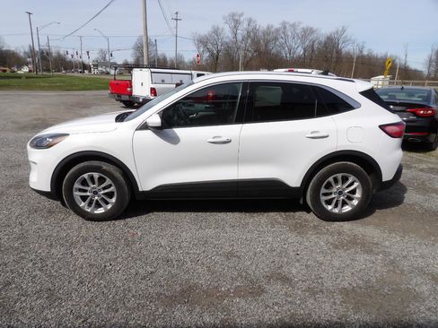 Used 2020 Ford Escape SE image 3