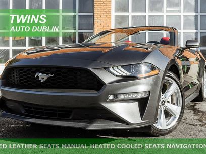 Used 2019 Ford Mustang Premium w/ Equipment Group 201A