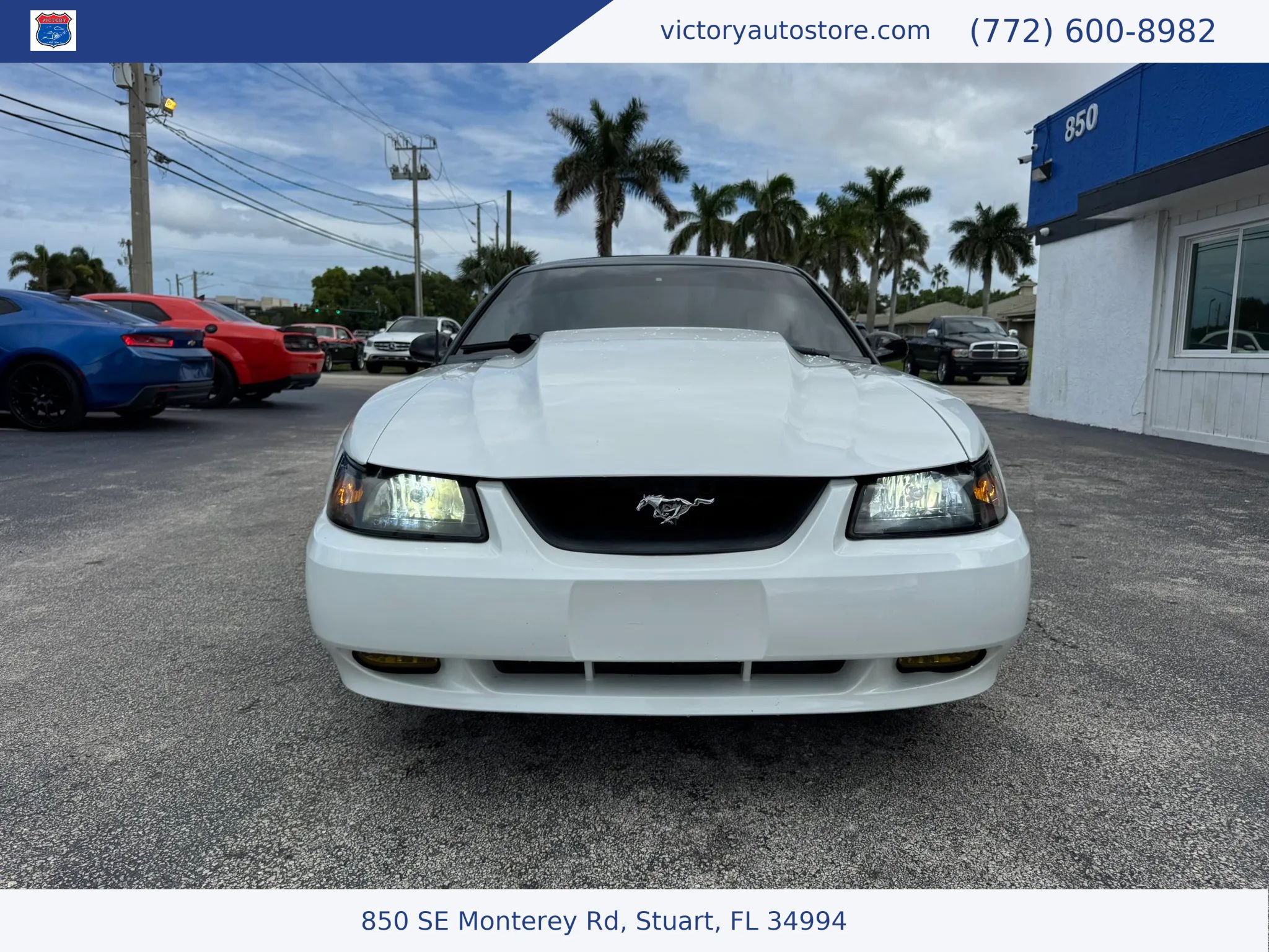 Used 2000 Ford Mustang GT RWD image 2