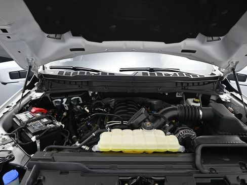 Used 2025 Ford F150 Tremor w/ Equipment Group 402A High AWD/4WD image 5