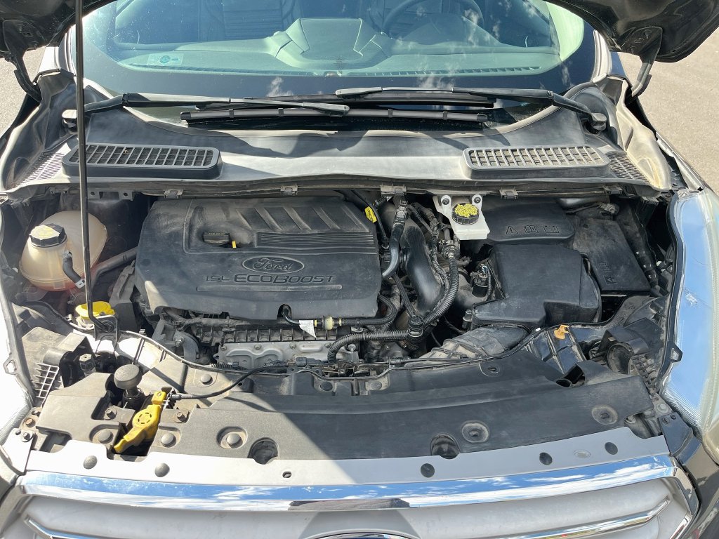 Used 2019 Ford Escape SE FWD image 29