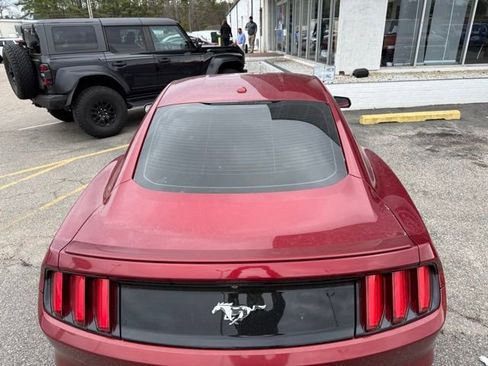 Used 2015 Ford Mustang Premium w/ Equipment Group 201A image 6