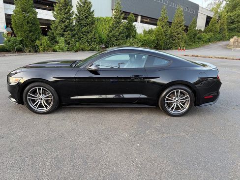 Used 2016 Ford Mustang Premium RWD image 11