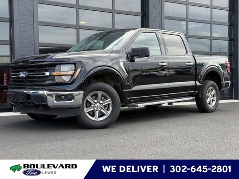 Used 2025 Ford F150 XLT w/ Equipment Group 301A Standard AWD/4WD image 1