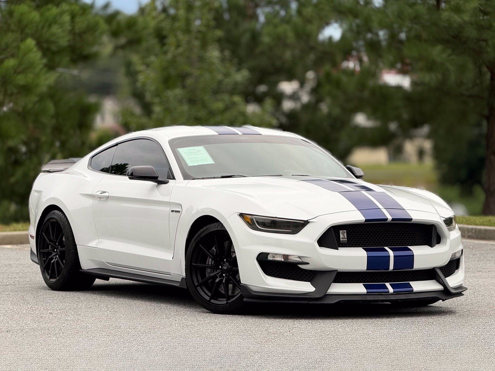 Used 2016 Ford Mustang Shelby GT350 w/ Technology Package RWD image 13