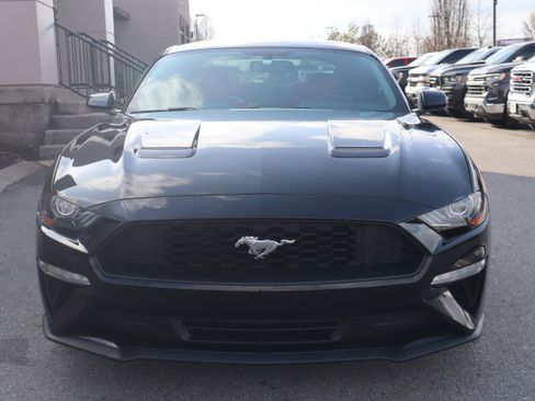 Used 2019 Ford Mustang Coupe image 3