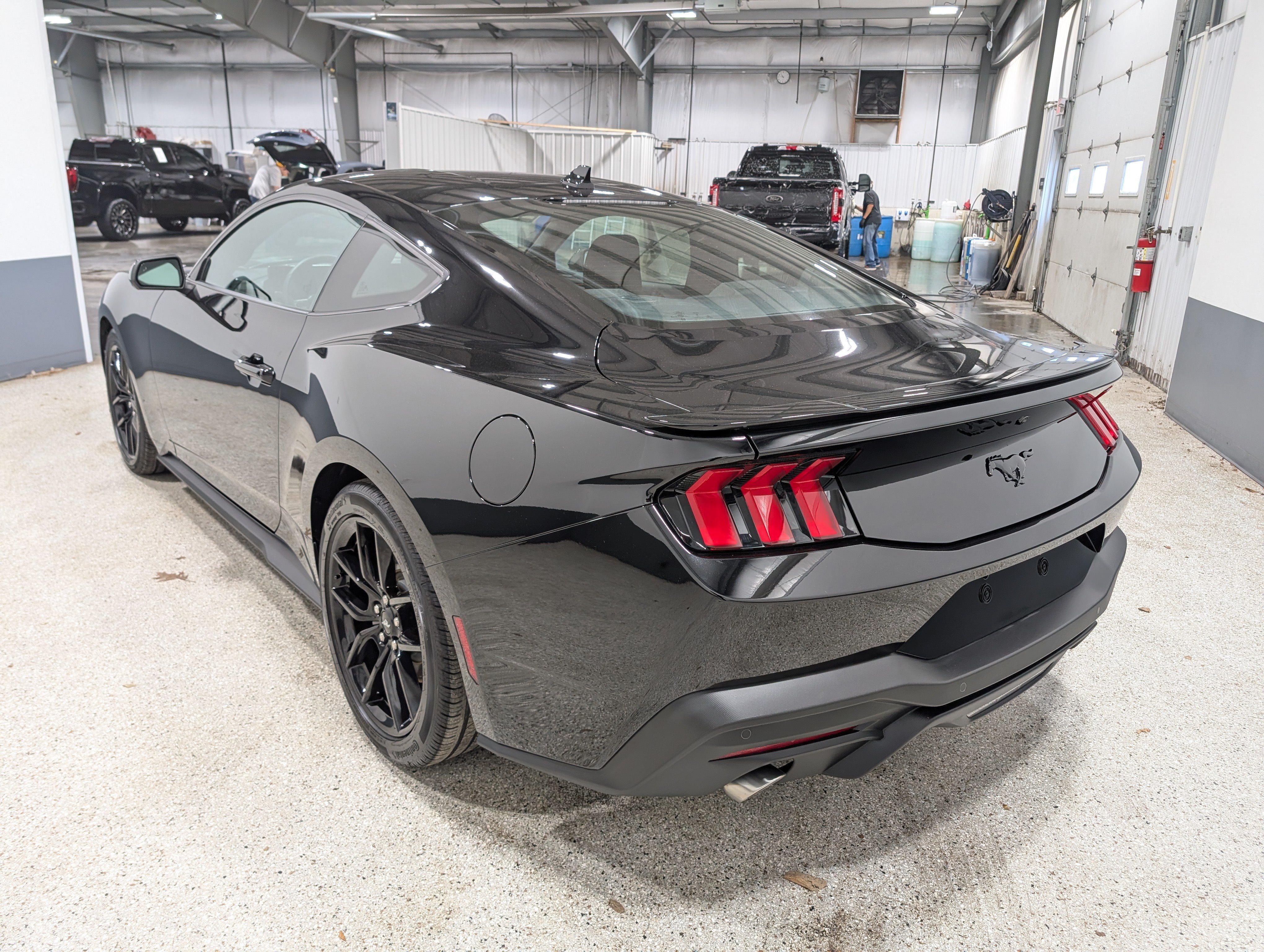 Used 2026 Ford Mustang Coupe w/ Mustang Nite Pony Package RWD image 5