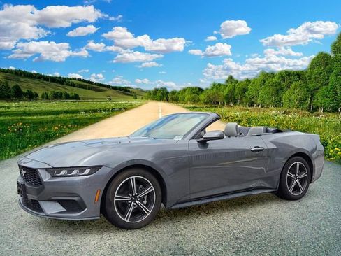 Used 2024 Ford Mustang Premium RWD image 2