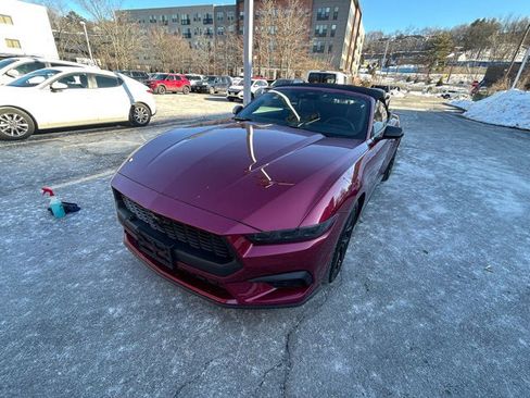 Used 2025 Ford Mustang Premium w/ Mustang Nite Pony Package image 3