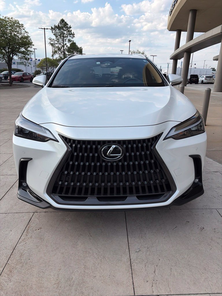 Used 2024 Lexus NX 350h AWD image 6