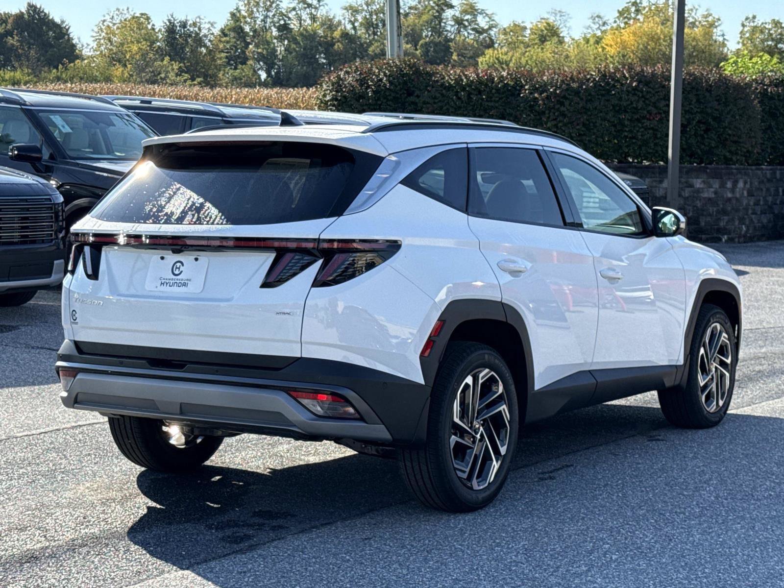 New 2026 Hyundai Tucson Limited AWD/4WD image 13