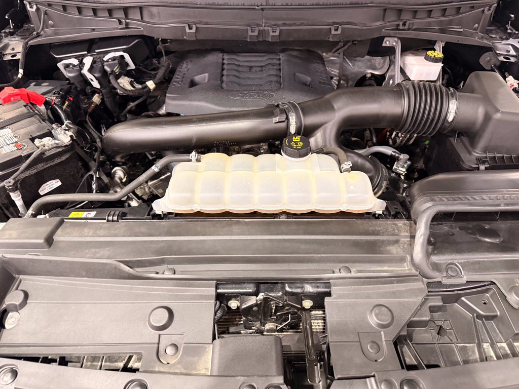 Used 2023 Ford F150 Tremor w/ Equipment Group 402A High AWD/4WD image 7