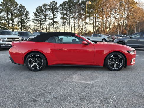 Used 2024 Ford Mustang Premium image 5