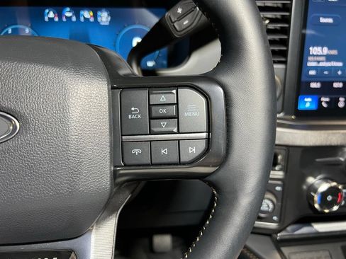 Used 2024 Ford F250 Platinum w/ Tremor Off-Road Package AWD/4WD image 9