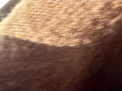 Used 2022 Jeep Wrangler Unlimited Sahara w/ Cold Weather Group image 19