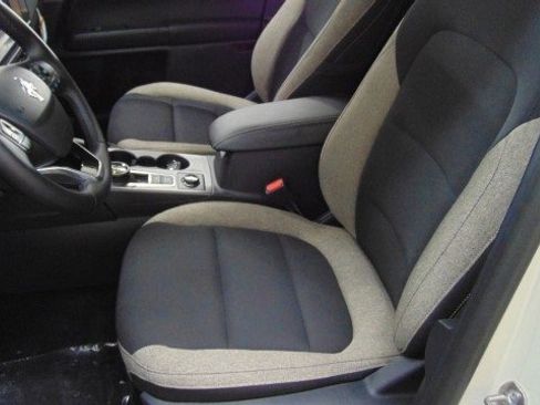 New 2025 Ford Bronco Sport Big Bend w/ Convenience Package image 13