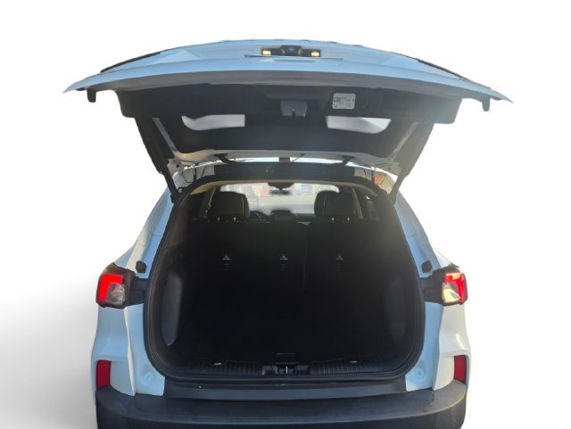 Used 2020 Ford Escape SEL FWD image 10