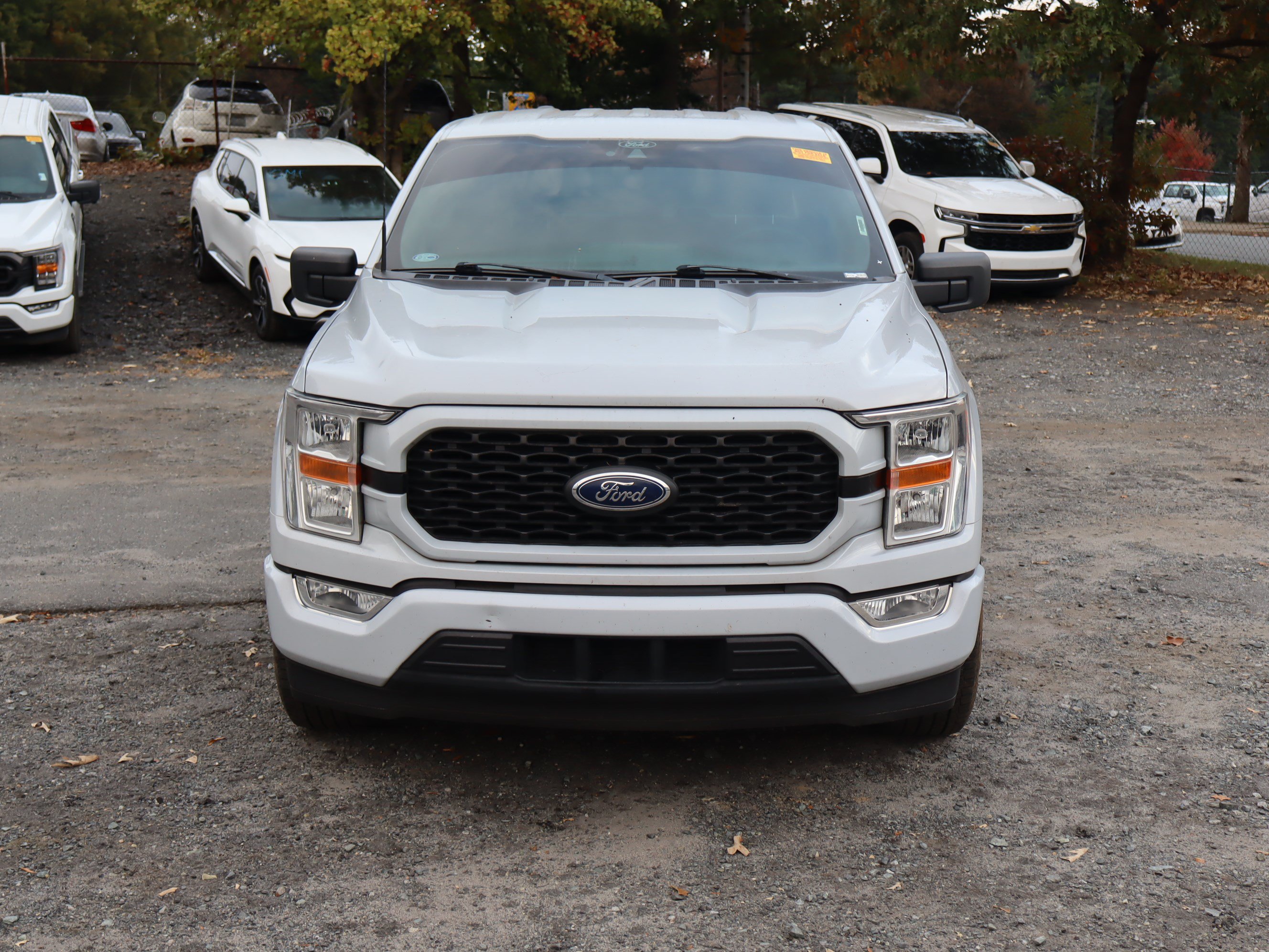 Used 2021 Ford F150 XL w/ STX Appearance Package RWD image 3