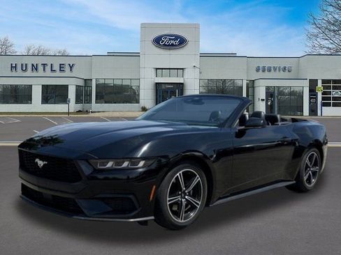 Used 2024 Ford Mustang Premium RWD image 1
