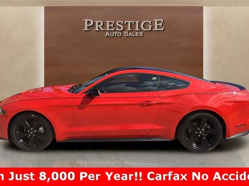 Used 2021 Ford Mustang Coupe w/ Equipment Group 101A image 2