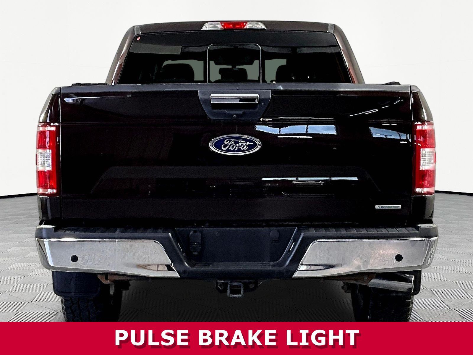 Used 2019 Ford F150 XLT w/ Equipment Group 302A Luxury AWD/4WD image 5