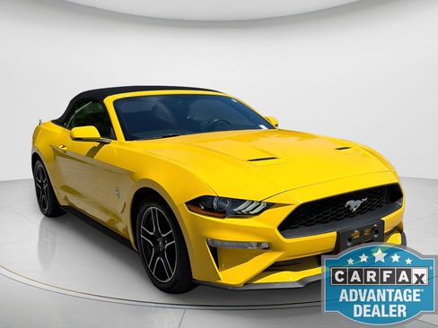 Used 2018 Ford Mustang Premium w/ Equipment Group 201A RWD image 6