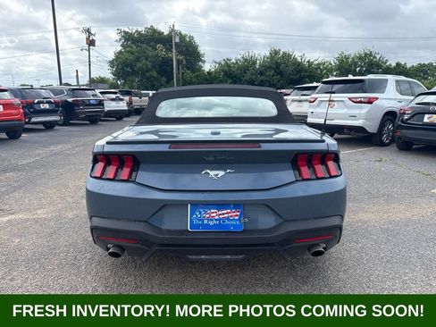 Used 2024 Ford Mustang Premium RWD image 3