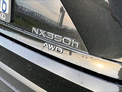 Used 2025 Lexus NX 350h AWD w/ Premium Package image 9