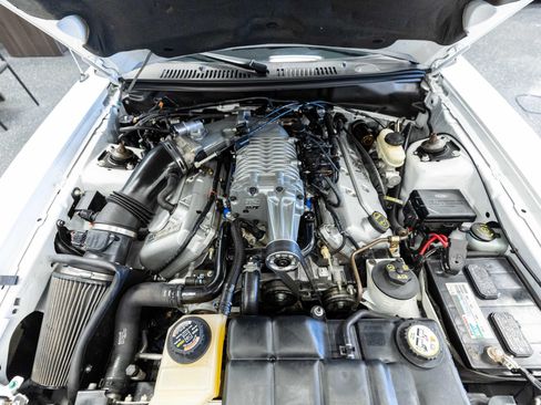 Used 2004 Ford Mustang Cobra RWD image 16