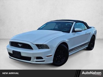 Used 2014 Ford Mustang Premium w/ Equipment Group 201A