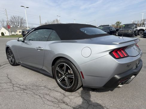 Used 2025 Ford Mustang Premium image 6