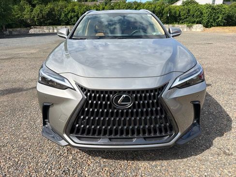 Used 2025 Lexus NX 350h AWD w/ Cold Area Package image 2