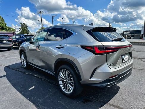 Used 2025 Lexus NX 350h AWD w/ Cold Area Package image 6