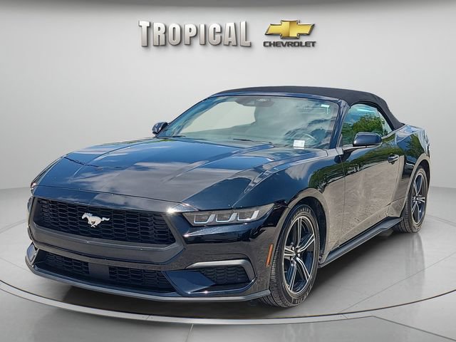 Used 2024 Ford Mustang Premium RWD image 1