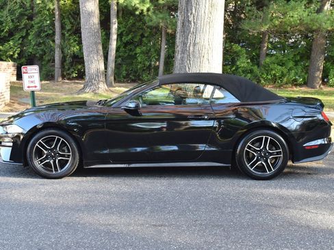 Used 2019 Ford Mustang Premium image 18