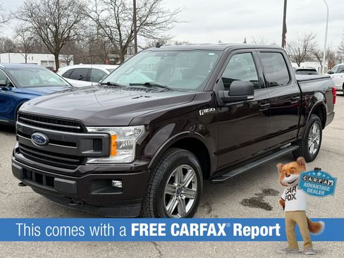 Used 2019 Ford F150 XLT w/ Equipment Group 302A Luxury image 1