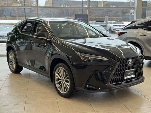 Certified 2025 Lexus NX 350 AWD w/ Cold Area Package image 3