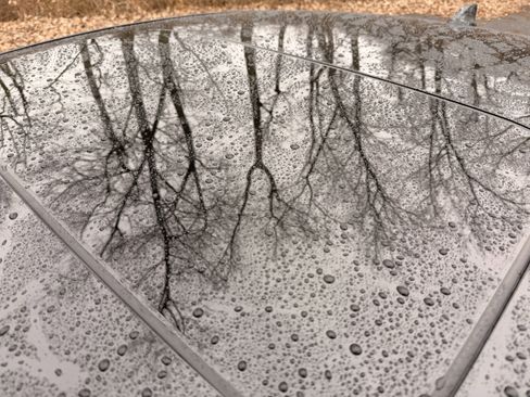 Used 2025 Honda Accord EX-L image 9