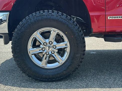 Used 2025 Ford F150 XLT w/ Equipment Group 301A Standard AWD/4WD image 9