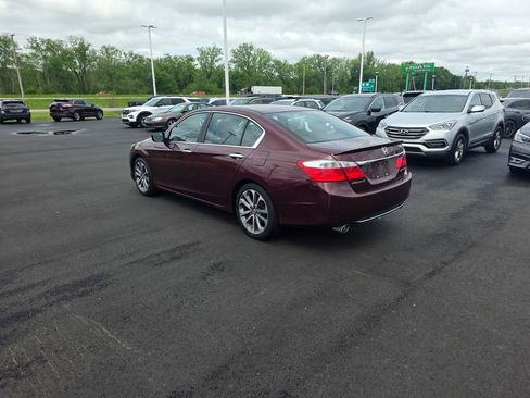 Used 2013 Honda Accord Sport image 5