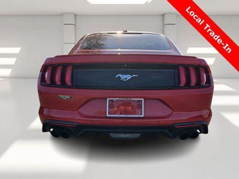 Used 2019 Ford Mustang EcoBoost w/ Equipment Group 101A image 27