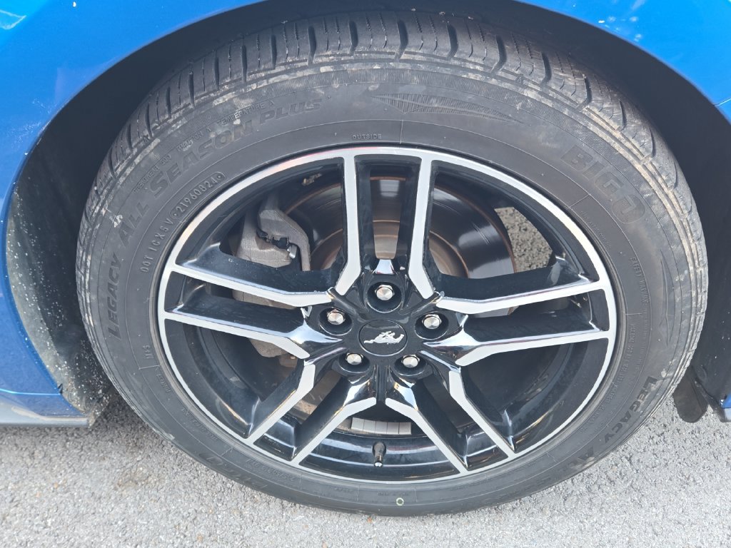 Used 2019 Ford Mustang Coupe w/ Equipment Group 101A RWD image 5