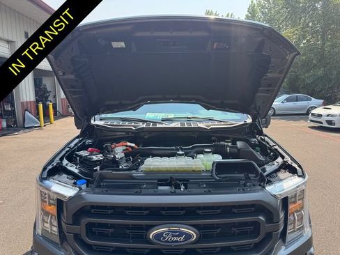 Used 2023 Ford F150 XLT w/ Equipment Group 302A High AWD/4WD image 19