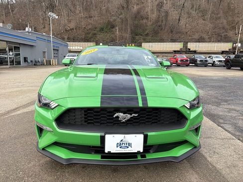 Used 2019 Ford Mustang EcoBoost image 11