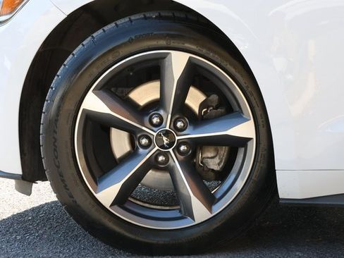 Used 2015 Ford Mustang Convertible w/ Equipment Group 051A image 7