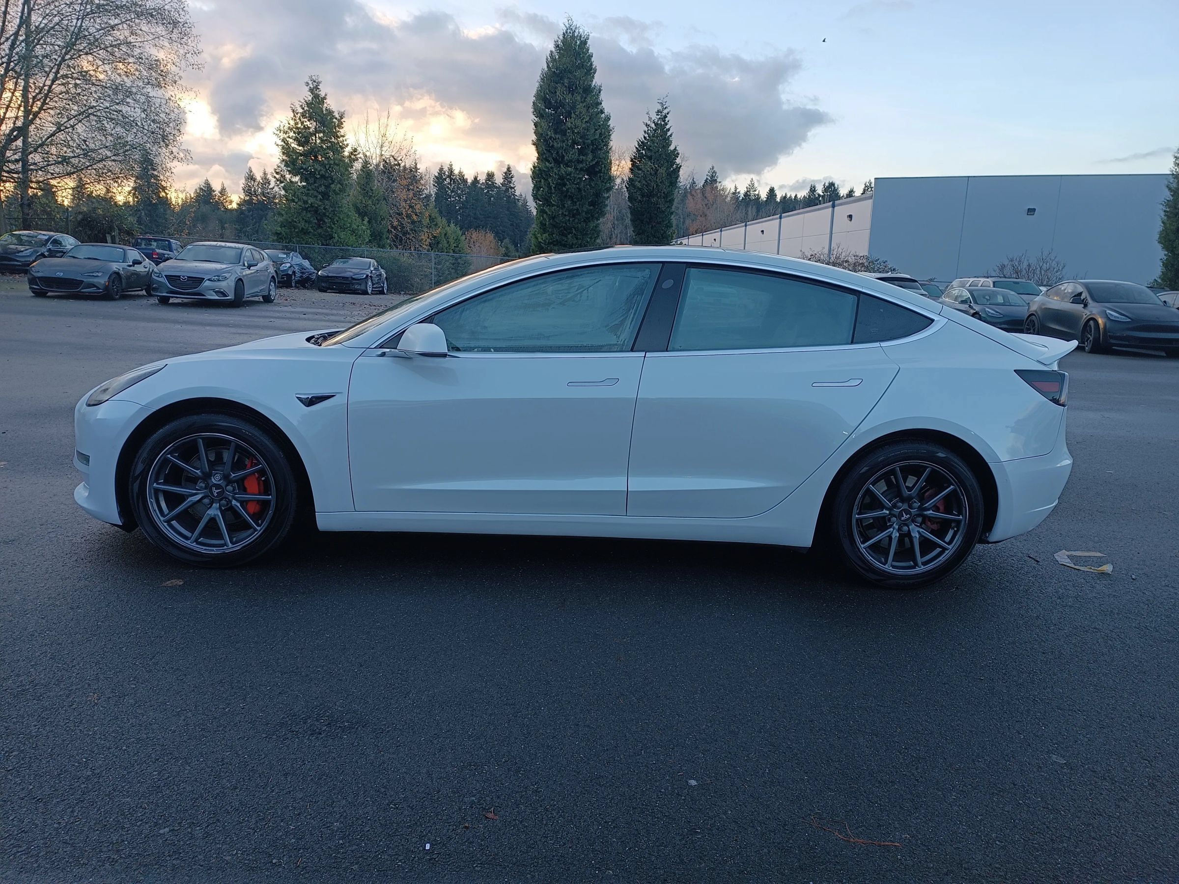 Used 2020 Tesla Model 3 Standard Range Plus RWD image 6