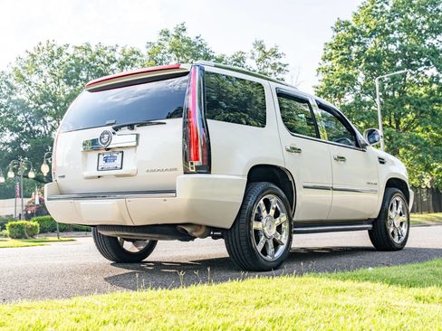 Used 2011 Cadillac Escalade Luxury AWD/4WD image 5
