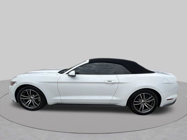 Used 2017 Ford Mustang Premium RWD image 6