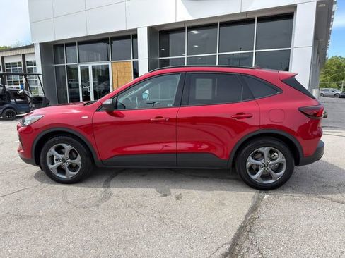 Used 2025 Ford Escape ST-Line w/ Tech Pack #1 FWD image 4